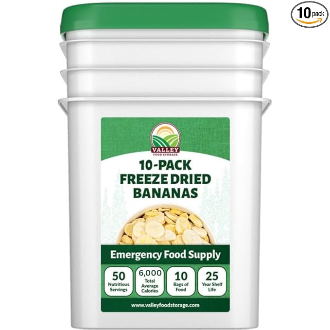 Valley Food Storage Freeze Dried Banana Slices | 10-Bag Bucket 53 oz | Non-GMO Premium Emergency Food Supply 25 Year Shelf Life | Prepper Supplies Survival Food &amp Off-Grid Living | Packaged in