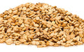 ORGANIC SESAME SEEDS BROWN- 11lb