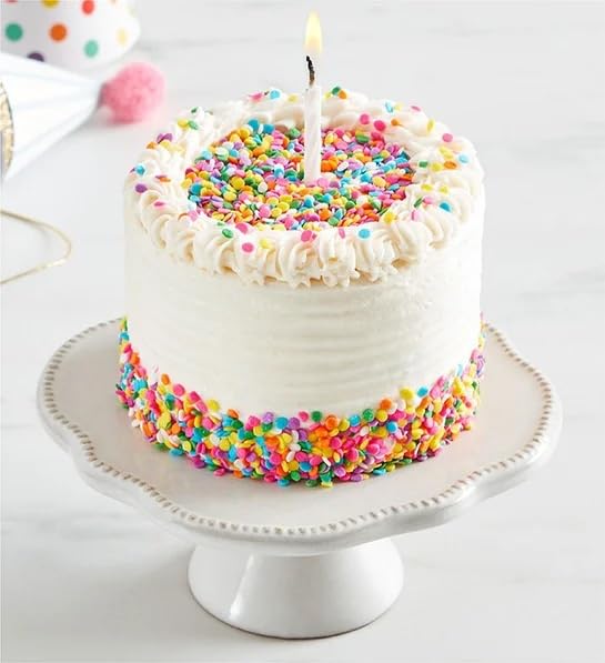 Shari’s Berries 4 Sprinkle Birthday Cake &amp 6 Chocolate Covered Strawberries | Birthday Gift Delivery | Valentine's Day Anniversary Birthdays Congratulations &amp Thank You’s (4 Cake 6 Berri