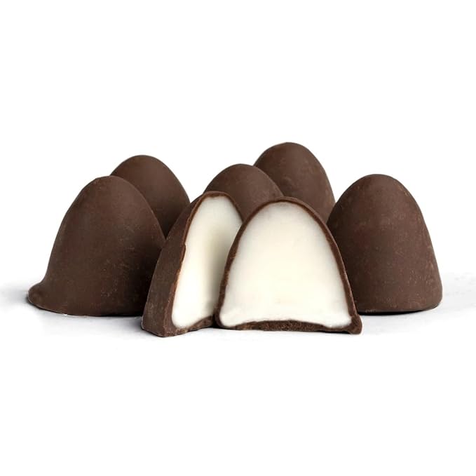 Old Fashioned Vanilla Creme Drops -Vintage Treat Old Fashion Favorite Vanilla with Chocolate Coating (3 lb Bulk Bag or 1 lb Bulk Tub) (1 LB Tub)