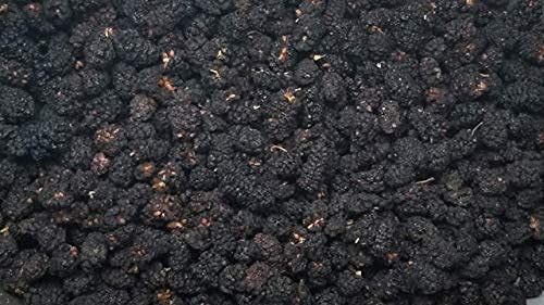 Mulberries FRESH Dried Black - No sugar added Delicious Quality Vegan User Friendly Snack Healthy Ingredient Luscious Packed in a resealable 1 lb. (16 oz.) pouch bag by Presto Sales LLC
