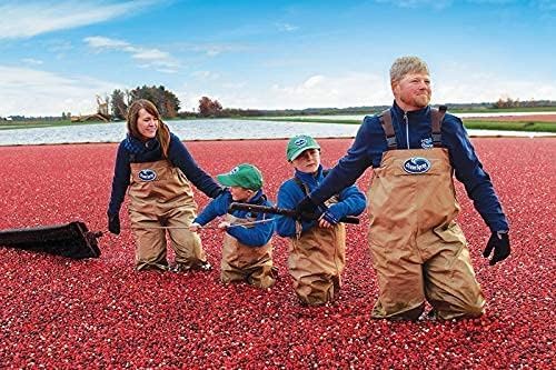 YB Dried Sliced Cranberry &amp Whole Blueberry Combo (250 Gm Each) - Organic Cranberries &amp Blueberries Without Sugar (unsweetened Dry Fruits)