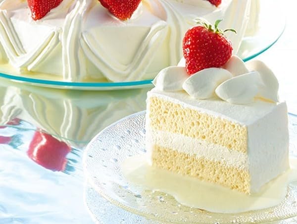 Tegral Dulcerio Sponge Cake Mix Bag 40#