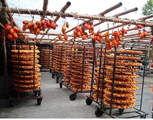 Sun Dried Hachiya Persimmons Japanese Style Hoshigaki 1 lb