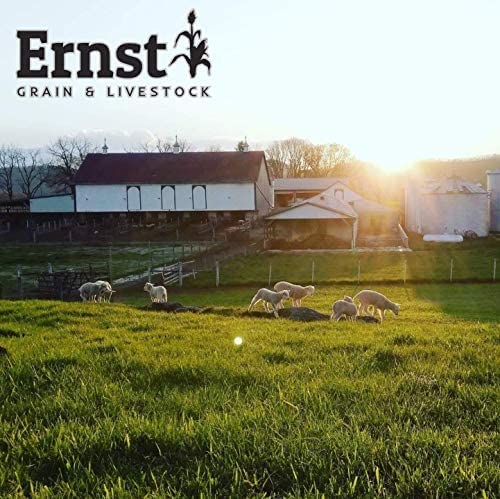 Ernst Grain's Oats Feed Grade 46 lb