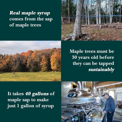 Vermont Maple Syrup - 32 oz Grade A Dark Robust Organic Maple Syrup - 100% Pure and Authentic Maple Syrup for Pancakes Waffles and More - Nut free Gluten Free Vegan Paleo