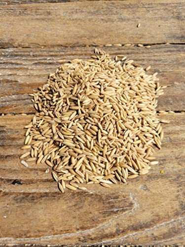 Ernst Grain's Oats Feed Grade 46 lb