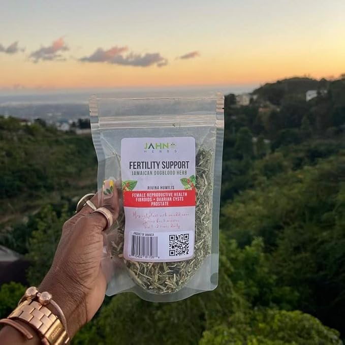 Jamaican Dog Blood Herb (Fertility Bush) Rivina Humilis