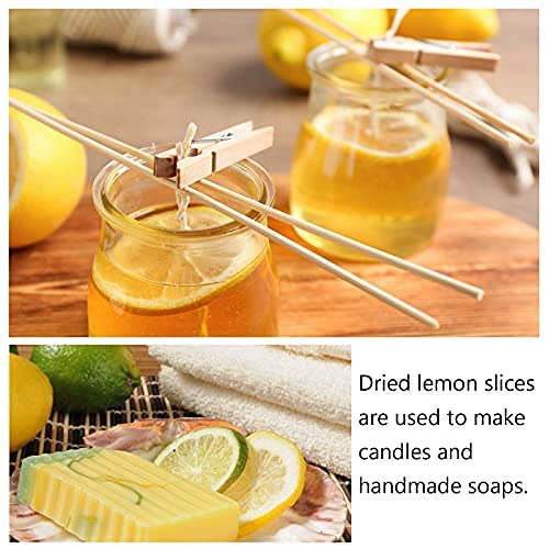 (1.1lbs) Dried Lemon Slices Lemon Tea Sour and Refreshing Citrus Sugar Free Vegan &amp Kosher 500g (17.6)