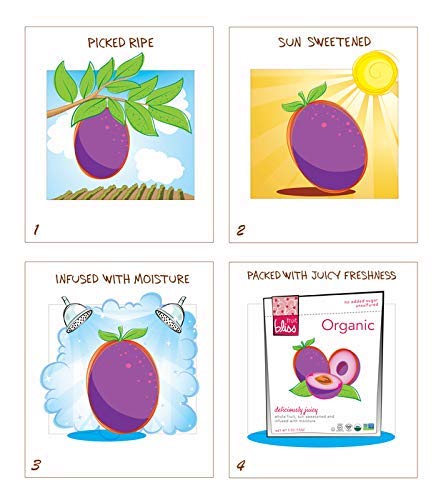 Organic Turkish Figs Dried Fruit Snacks 6 Pack 5oz