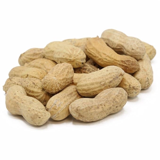 C.J. Dannemiller Peanuts in the Shell Bulk 10 LB Box Fancy Size Roasted Unsalted