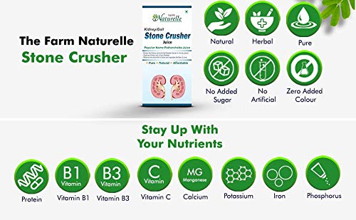 Farm Naturelle-Most Effective juice (Patharchatta juice)-Combination of Patharchatta and Gokhru Beej-1+1 Free-2x400ml+ 2x55g Herbs Infused Forest Honey