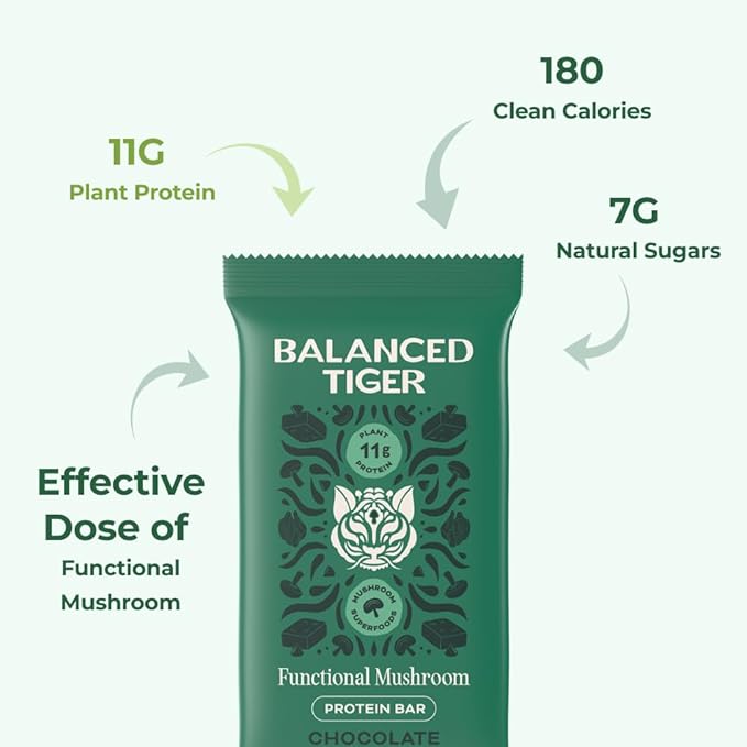 Functional Mushroom Vegan Protein Bars | Made in USA | Full Dose Lions Mane Shitake Reishi &amp Maitake Bars | Plant Protein Bars w/Adaptogens &amp Superfoods | Chocolate Brownie Flavor