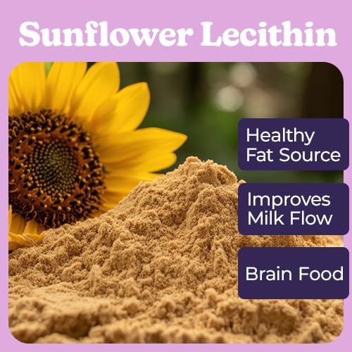 Double Batch -50 Lactation Cookies Mix. Chocolate Chip Oatmeal. Homemade Delicious Cookie Mix- More Mix Less Money Per Ounce. Happy Latch Includes 4 Special Ingredients To Improve Milk Flow Milk-Boo
