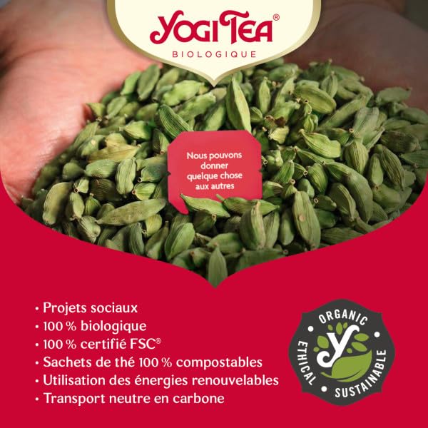 YOGI TEA Organic Classic Tea 17 CT