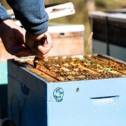 Tasmanian Honey Company Tasmanian | Christmas Bush | 350g | Unfiltered | Raw | Unheated | Hand-Crafted | Product of Australia | Iconic Metal Can |