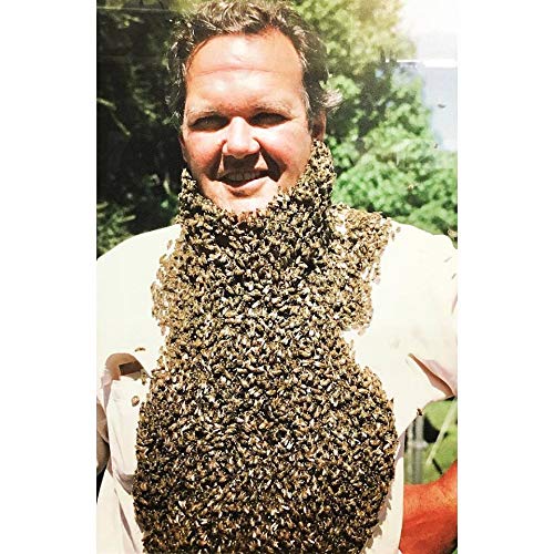 Tasmanian Honey Company Tasmanian | Christmas Bush | 350g | Unfiltered | Raw | Unheated | Hand-Crafted | Product of Australia | Iconic Metal Can |