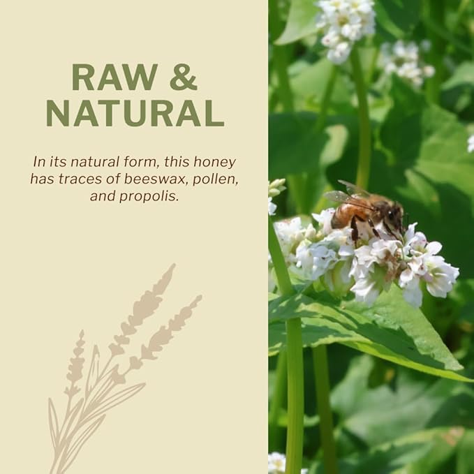 OneRoot Raw Buckwheat Honey – 6.6 lbs Unheated &amp Unprocessed Dark – Nutrient-Rich Antioxidant-Packed Natural Sweetener – Pure &amp Unfiltered Honey