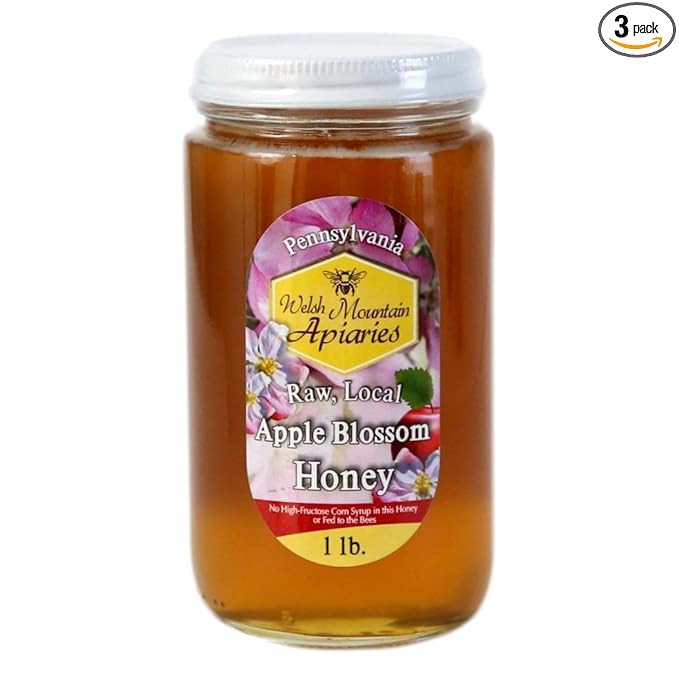 Pennsylvania Apple Blossom Honey by Welsh Mountain Apiaries Raw and Unfiltered 16 Ounce Jar (Pack of 3)
