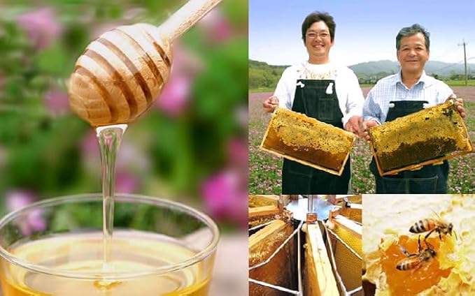 Kondo Japanese Bee Farm Shoga Hachimitsu Zuke Honey Flavored Ginger 280g (Pack of 1) Domestic Ginger Pickled in Honey No Sugar Added Preservatives Free MADE IN JAPAN