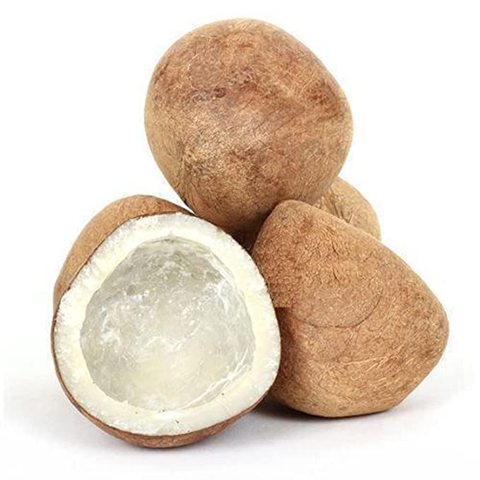 whole Dry Coconut 500 gm