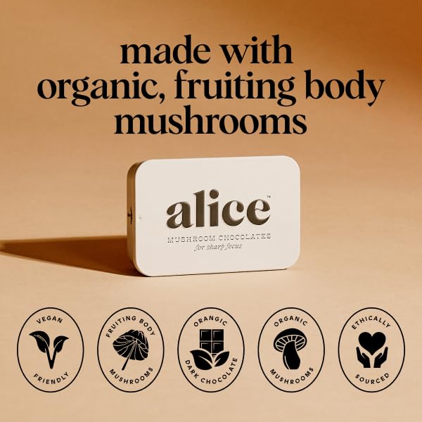 Alice Mushrooms Brainstorm | Mushroom Chocolates | Energy Bites for Focus Clarity &amp Cognitive Function | Lions Mane Cordyceps Mushrooms Guarana &amp Phosphatidylserine Natural Caffeine | Noot