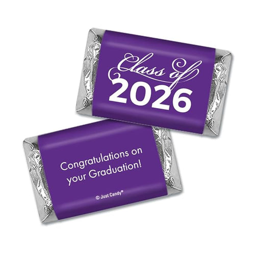 496 Pcs Purple Graduation Candy Party Favors Assorted Wrapped Miniatures &amp Purple Kisses (6.1 lbs Approx. 496 Pcs)
