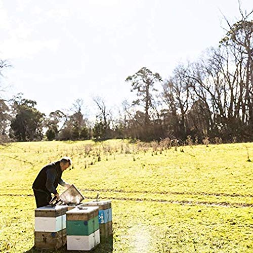 Tasmanian Learherwood RAW HONEY | Pure Unheated Unfiltered Unpasteurized and Hand-Crafted 26.5 Ounces