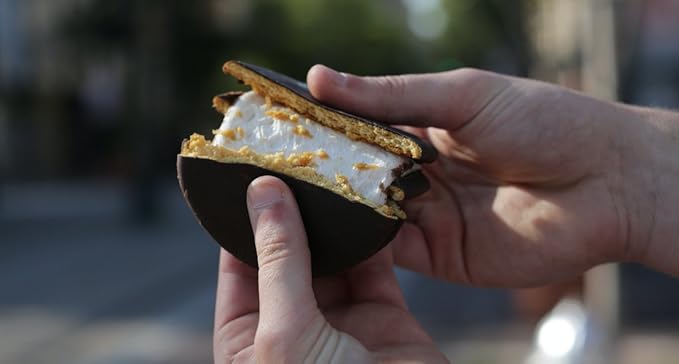 MoonPie Single Decker Vanilla Marshmallow Sandwich - 24 Ounce (Pack of 8) | Vanilla Covered Graham Cracker &amp Marshmallow Pie