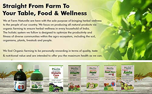 Farm Naturelle-Most Effective juice (Patharchatta juice)-Combination of Patharchatta and Gokhru Beej-400ml+ 55g Infused Forest Honey