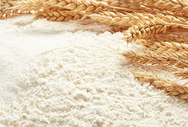 Unpretentious High Gluten Flour 3.5 Gallons Artisan Bread Bagels Pizza