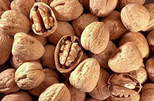 Walnuts In-shell (Whole) (5 LB)
