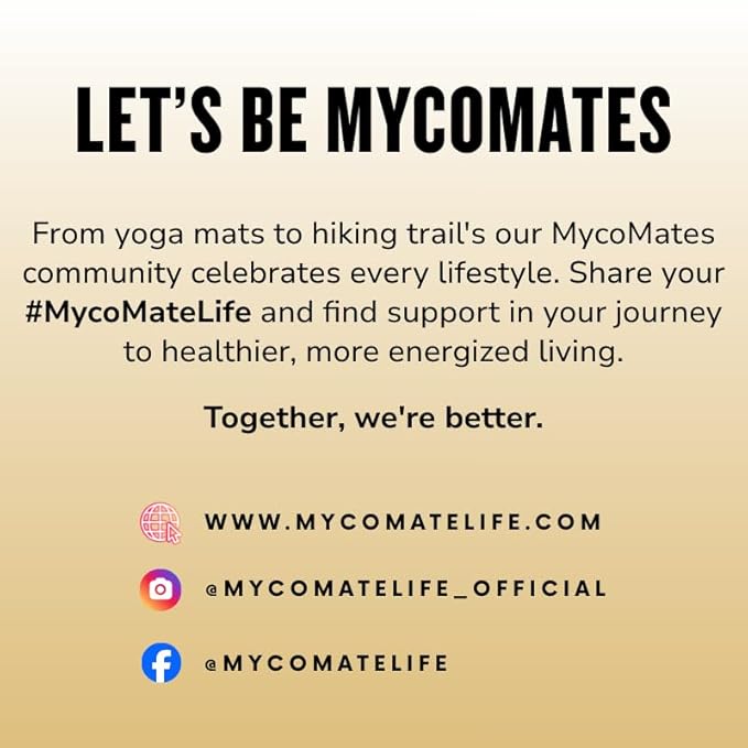MycoMate Lifted Lemonade Instant Yerba Mate Powder with 4 Functional Mushrooms Collagen &amp Adaptogens Clean Energy Drink Mix for Focus Gut Health &amp Immunity No Sugar 30 Servings