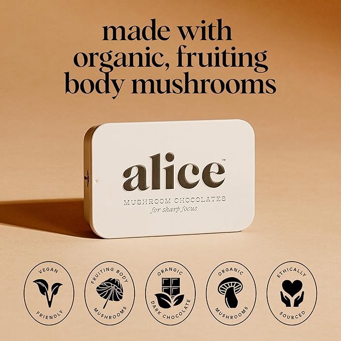 Brainstorm 4-Pack | Functional Mushroom Chocolates | Energy Bites for Focus Clarity &amp Cognitive Function | Lions Mane Cordyceps Guarana &amp Phosphatidylserine Natural Caffeine