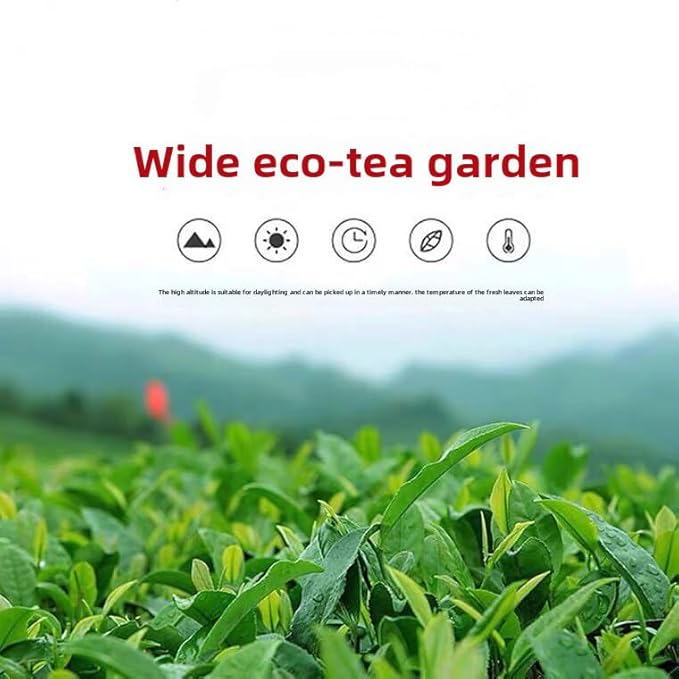 Oolong Tea 8.81oz /250g（30Bags）Phoenix Dancong （Honey Orchid Aroma）Chao Zhou Feng Huang Dan Cong Mi Lan Xiang Loose Leaf 潮州乌岽单枞茶叶 凤凰单丛 (黄枝香)