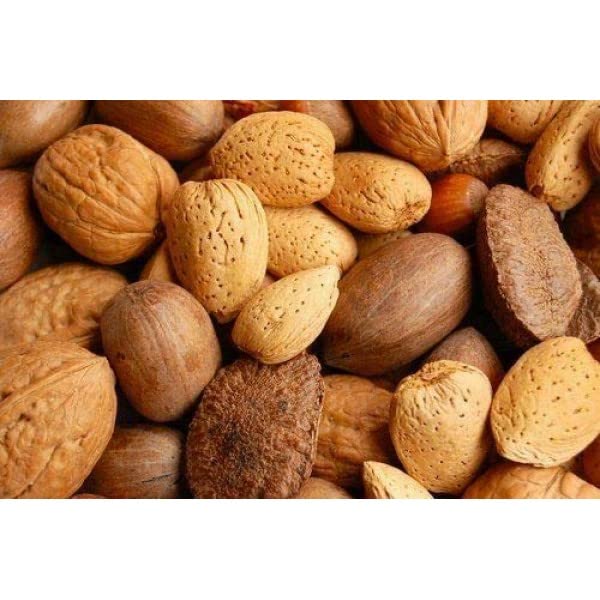 IN SHELL DELUXE MIXED NUTS- 3LB by NUTS N MORE