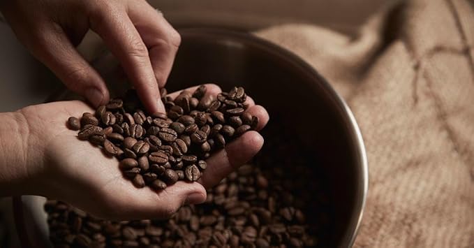 Caffe Mauro Special Concerto Roasted Espresso Beans from Italy 2.2 lbs (1kg) Italian Espresso Coffee Beans Dark Roast – Full Body &amp Intense Flavor Arabica &amp Robusta