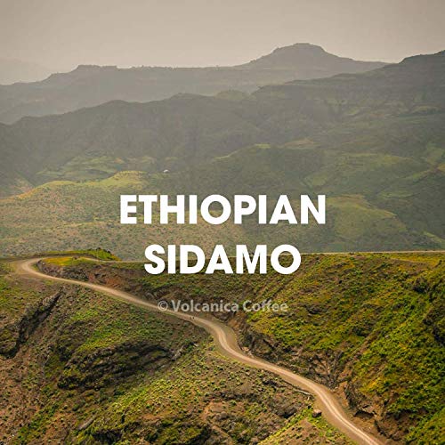 Ethiopian Coffee Sidamo Whole Bean Fresh Roasted 16-ounces