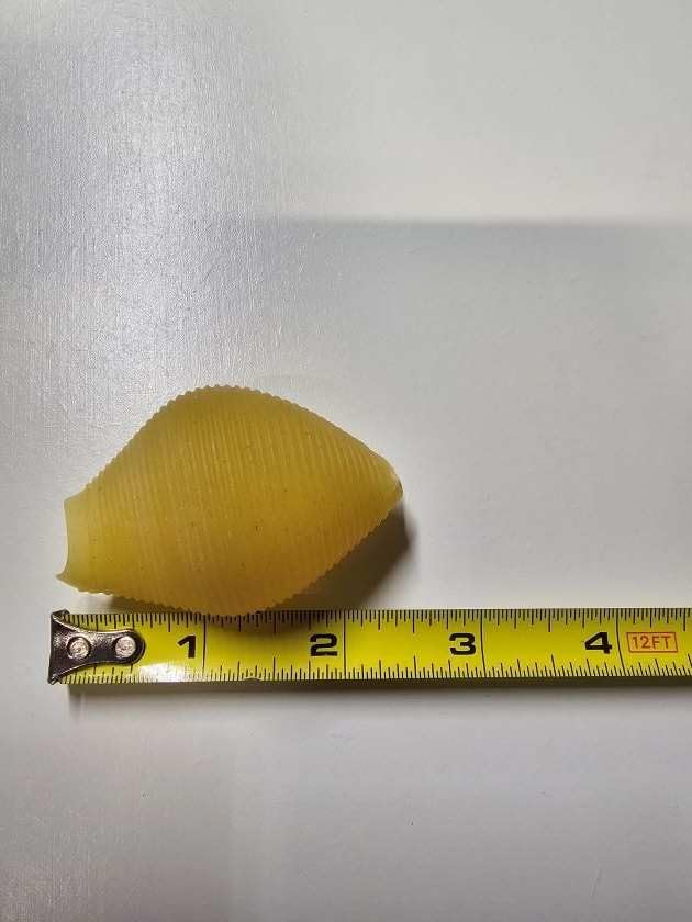 Jellybean Foods Jumbo Stuffing Shells Pasta - Large Pasta - Shells for Stuffing - Coquille Pasta Shells - Jumbo Shells for Baking - Easy Stuff Shells for Creative Meals (5 LB)