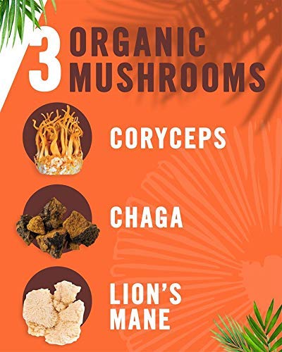 Laird Superfood Peruvian Dark Roast Coffee with Functional Mushrooms Certified Organic Peruvian Ground Coffee Beans Gluten-Free Dairy-Free Non-GMO Paleo Keto Friendly 12 oz. Bag Pack of 6
