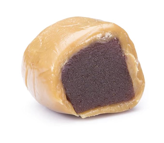 HELENA Chocolatier Tejas and Chocotejas (CHOCOTEJA GUAVA 6 PACK)