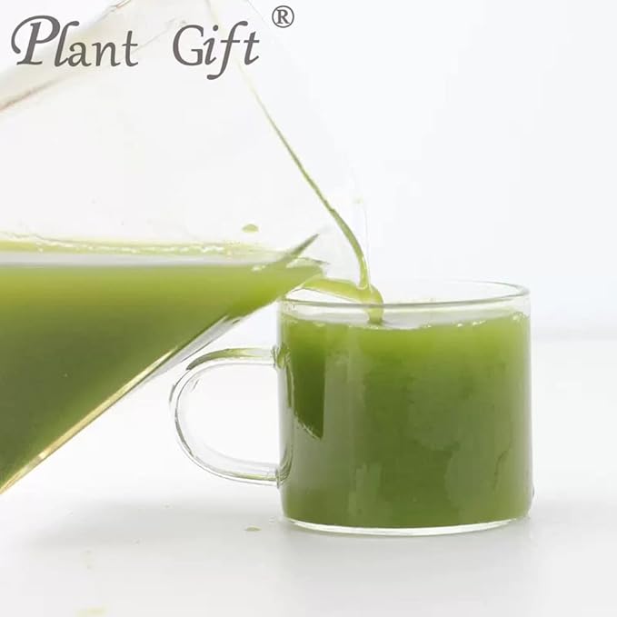 Asparagus Powder 100g/3.52oz 100% Natural Pure 芦笋粉 For Smoothies Shakes Baking &amp Drinks