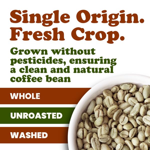 Food to Live Organic Nicaragua Arabica Green Coffee Beans 5 Pounds – Whole Unroasted Washed Bean. Fresh Crop. No-GMO Vegan Bulk