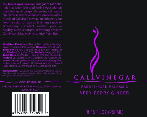 Calivirgin Balsamic Vinegar - Very Berry Ginger Flavored Traditional Balsamic Vinegar - Authentic Italian Balsamic Vinegar - Gourmet Vinegar - Barrel Aged Balsamic Vinegar Bottle - 250ml