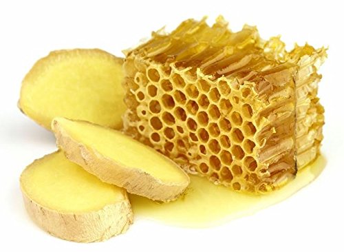HIBEE Ginger Honey_22oz