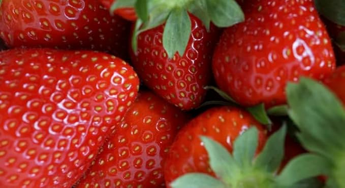Civara Organic Strawberry Powder 6oz &amp 12oz | 100% Natural Fruit Powder | No Sugar &amp Additives | Great Flavor for Drinks Smoothie Beverages | USDA Organic | Vegan | Gluten Free (6 Ounces)