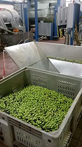Italian Olive Oil of the Month Club Membership (3 Month)
