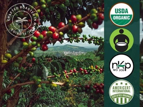 Artizan Coffee USDA Organic Ground Coffee | Manuka Honey Coffee RX Fusion | Medium-Dark Roast | Medium Grind for Drip | 2 lbs | Roasted in South Florida