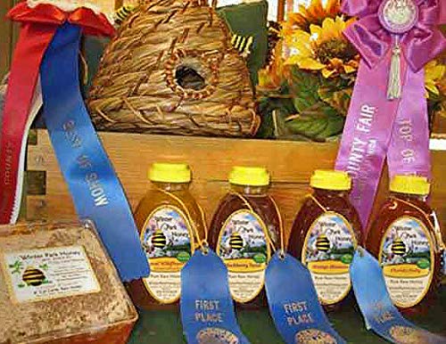 Winter Park Honey Sampler - 128oz (Pure Natural Honey)