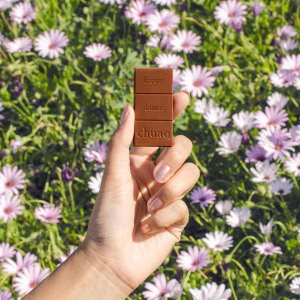 Chuao Chocolatier Oh My S'mores Milk Chocolate Mini Bars | For Gift Baskets Birthday Thank You Care Package 100 Pack 0.39 oz Each